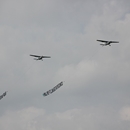 VliegExperience Luchtreclame Formatie 4 VliegExperience Luchtreclame Formatie 4