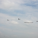 VliegExperience Luchtreclame Formatie 1 VliegExperience Luchtreclame Formatie 1